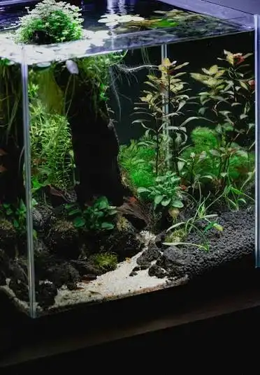 AquaLeaf Creation Gallery